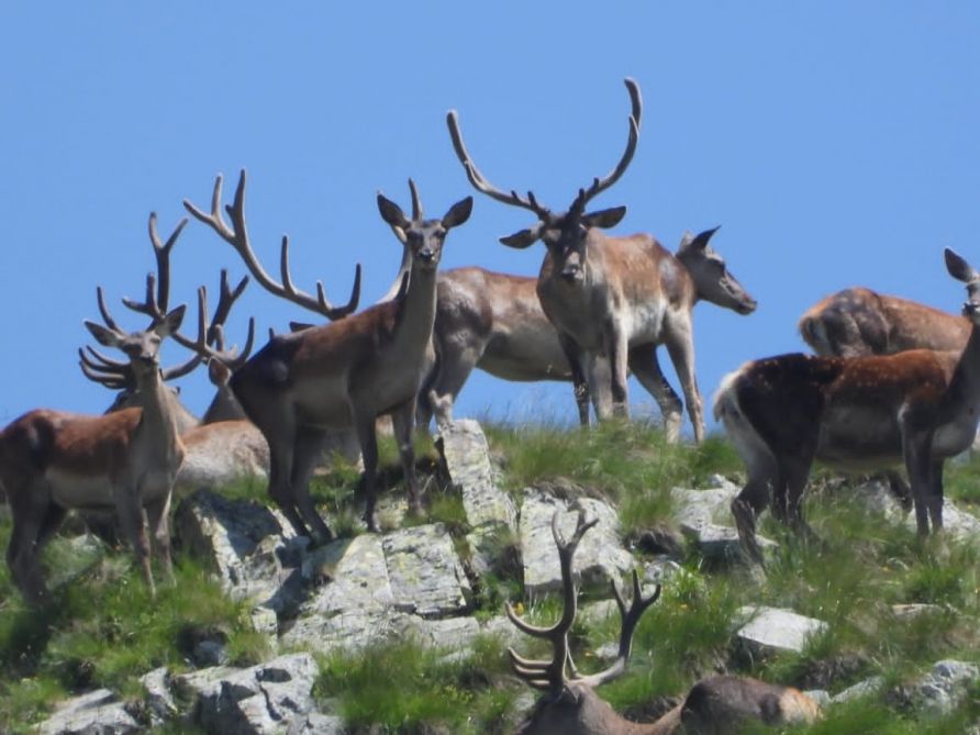 Zagatala. Destination for nature lovers [PHOTO]