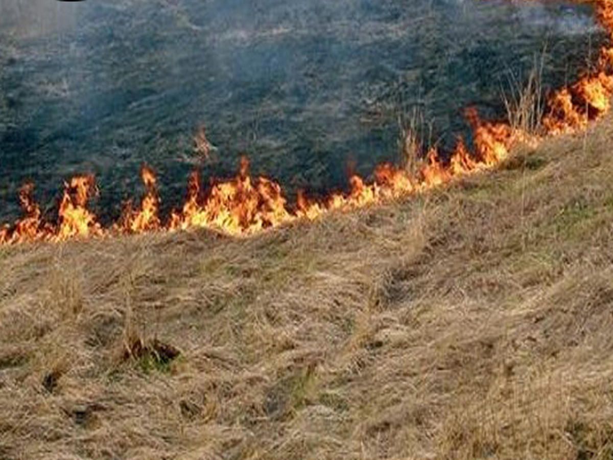 Wildfire breaks out in Azerbaijan's liberated territories - ministry [VIDEO]