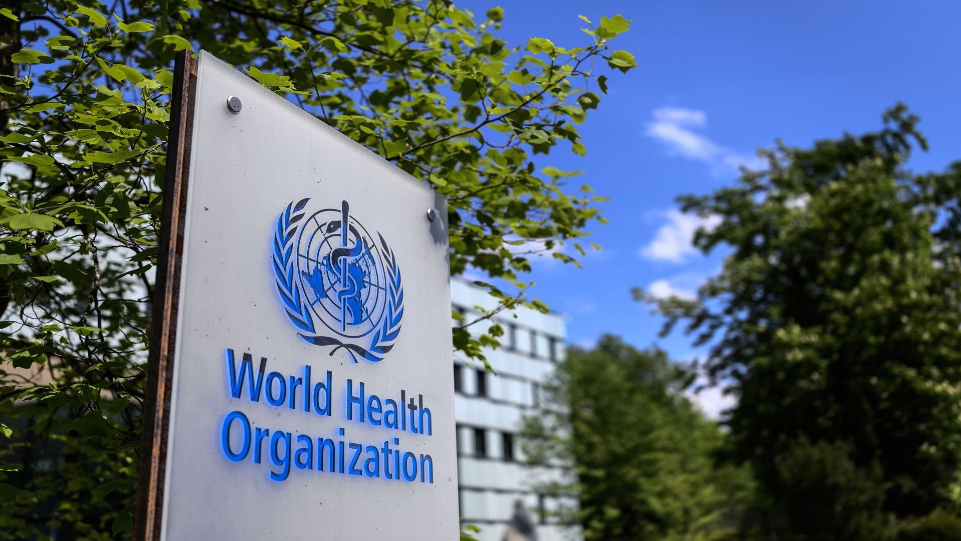 WHO declares global health emergency over monkeypox outbreak