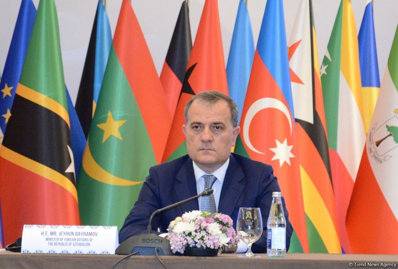 Foreign minister credits Azerbaijan's chairmanship of NAM during pandemic