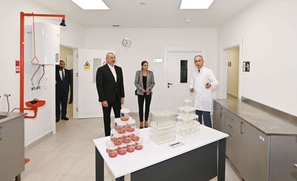 President Ilham Aliyev, First Lady Mehriban Aliyeva get acquainted with Grand-Agro Invitro, participate in opening of Azbadam's office [UPDATE]
