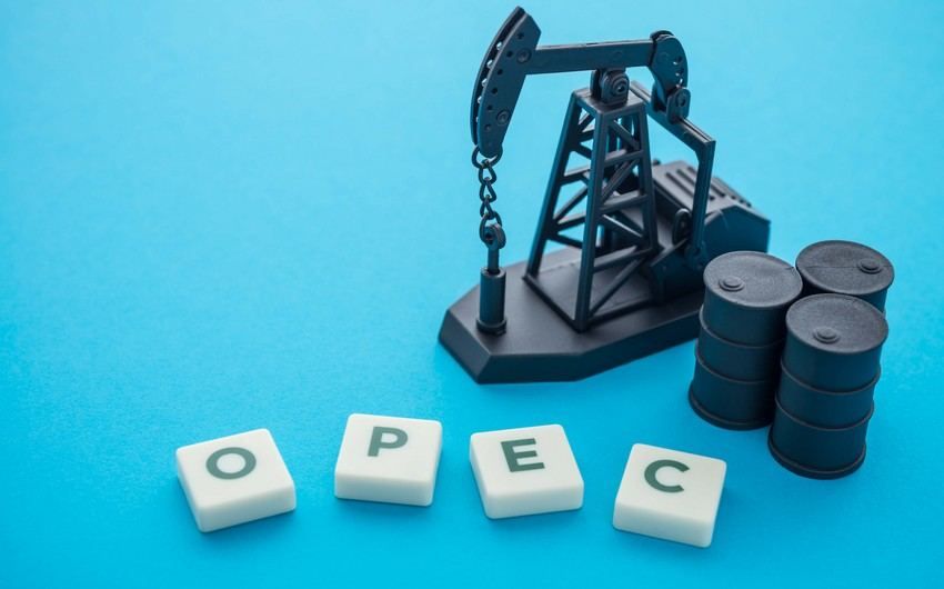 OPEC+ committee recommends staying course on oil output policy