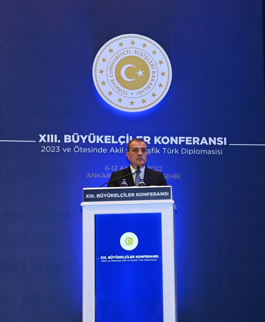 Azerbaijani-Turkish alliance aimed at bolstering regional peace, security - foreign minister [PHOTO]