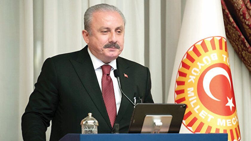 Grain corridor exemplifies Turkiye’s smart diplomacy - Speaker