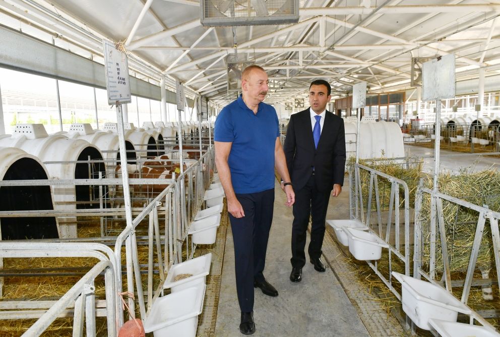 President Ilham Aliyev gets acquainted with activities of Aghsu Agropark [UPDATE] - Gallery Image