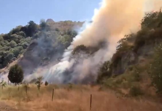 Armenians setting fire to woodlands in Azerbaijan's Lachin District