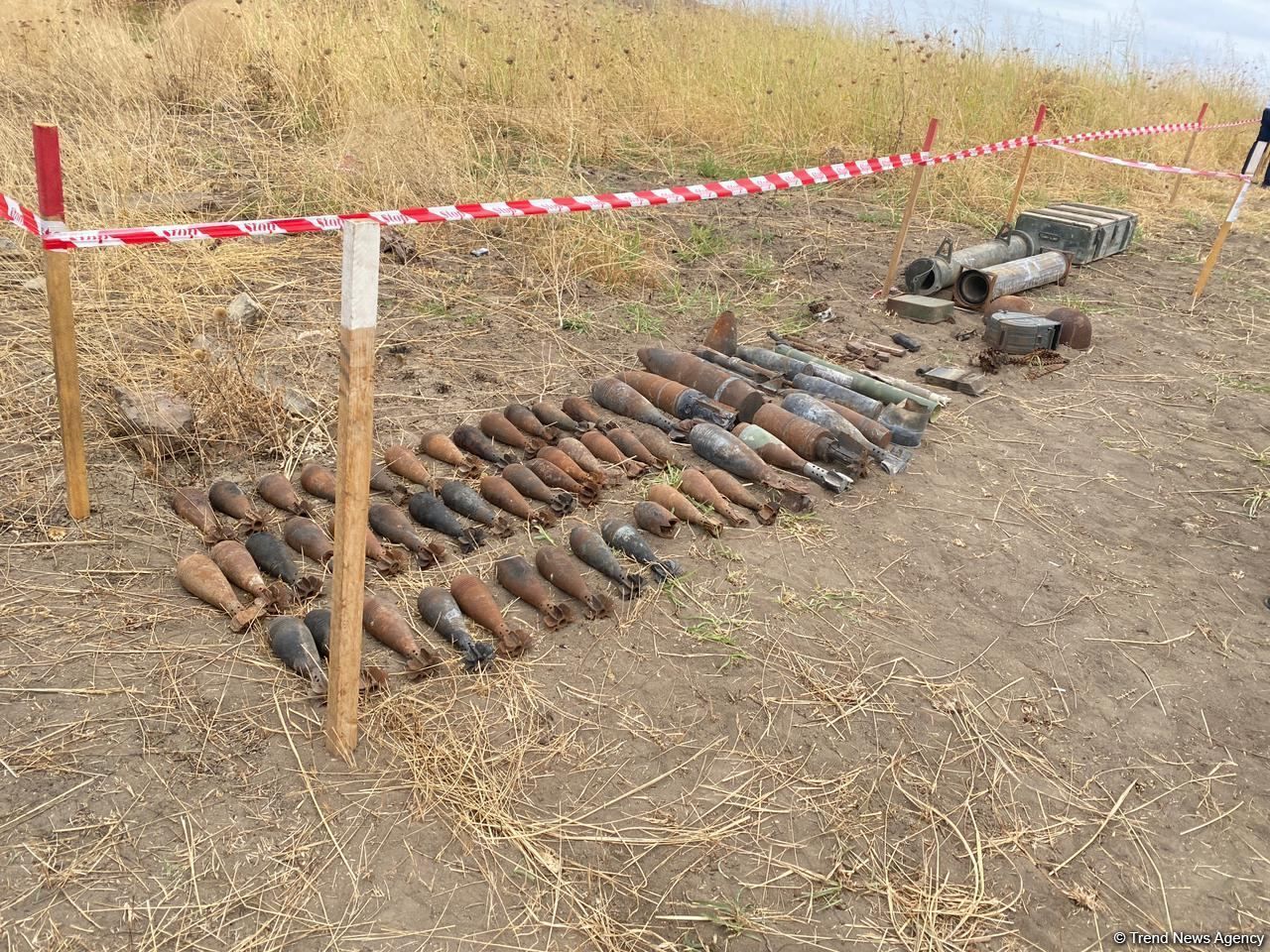 Azerbaijani mine action agency defuses over 500 mines, munitions on Aug 15-20 [PHOTO]