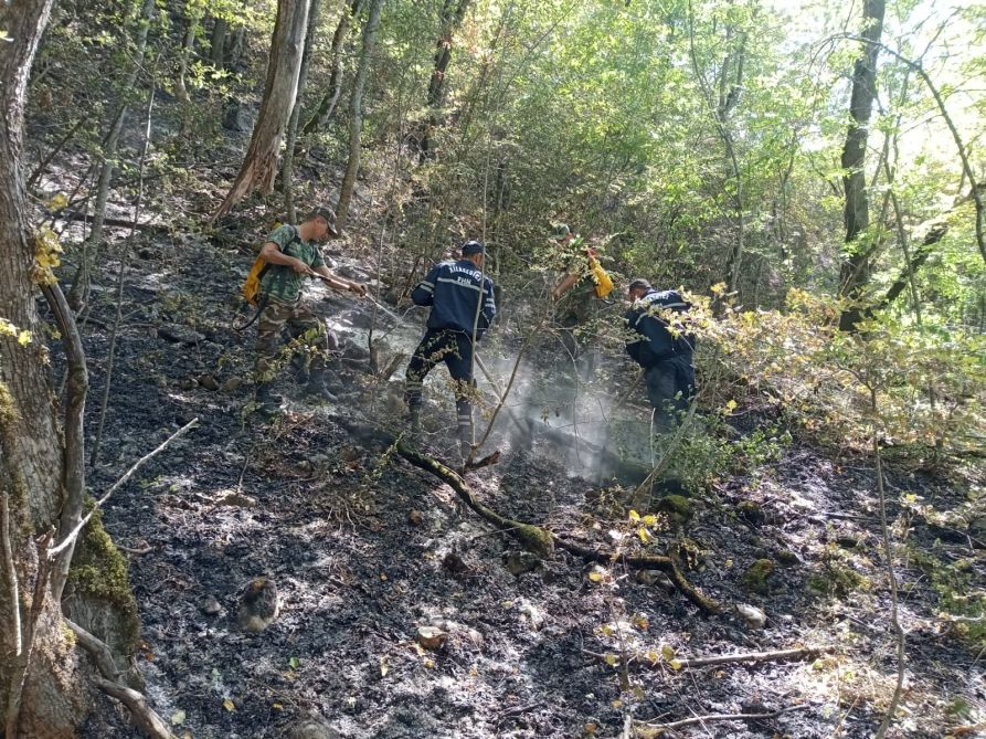 Wildfires in Azerbaijan’s northern regions completely extinguished - ministry [PHOTO/VIDEO]