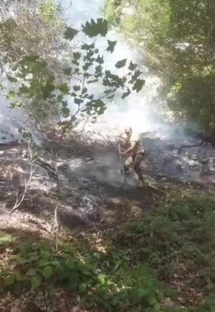 Azerbaijan puts out wildfire in Oghuz District [PHOTO/VIDEO] - Gallery Image