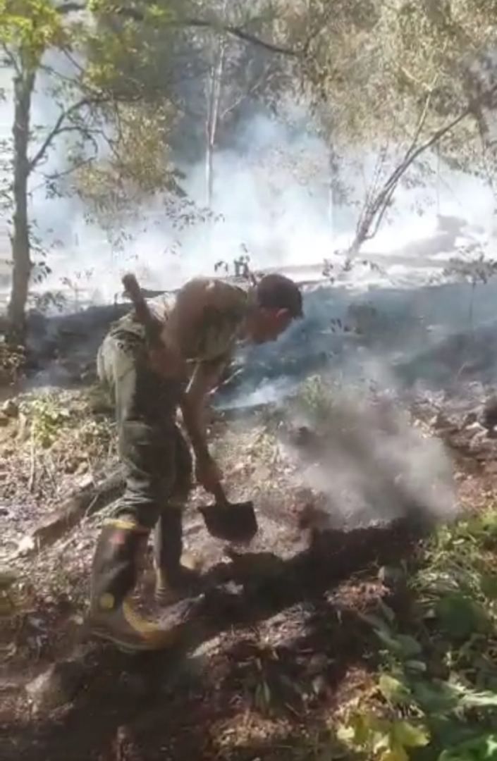 Azerbaijan puts out wildfire in Oghuz District [PHOTO/VIDEO]