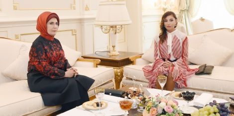 To Honorable Mehriban Aliyeva, First Vice-President of the Republic of Azerbaijan