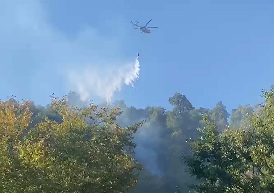 Wildfire breaks out in Azerbaijan’s northern region