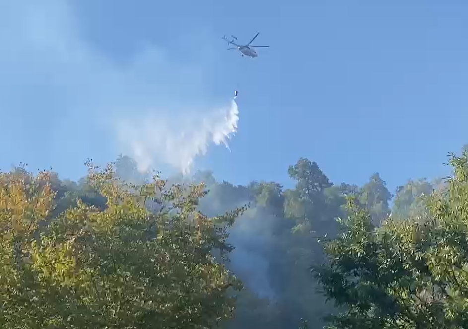 Wildfire breaks out in Azerbaijan’s Zagatala District [VIDEO]