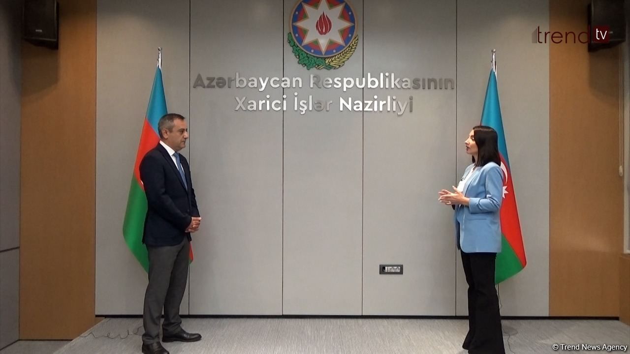 Azerbaijan's MFA talks true motives of Armenia's military provocations [PHOTO/VIDEO]