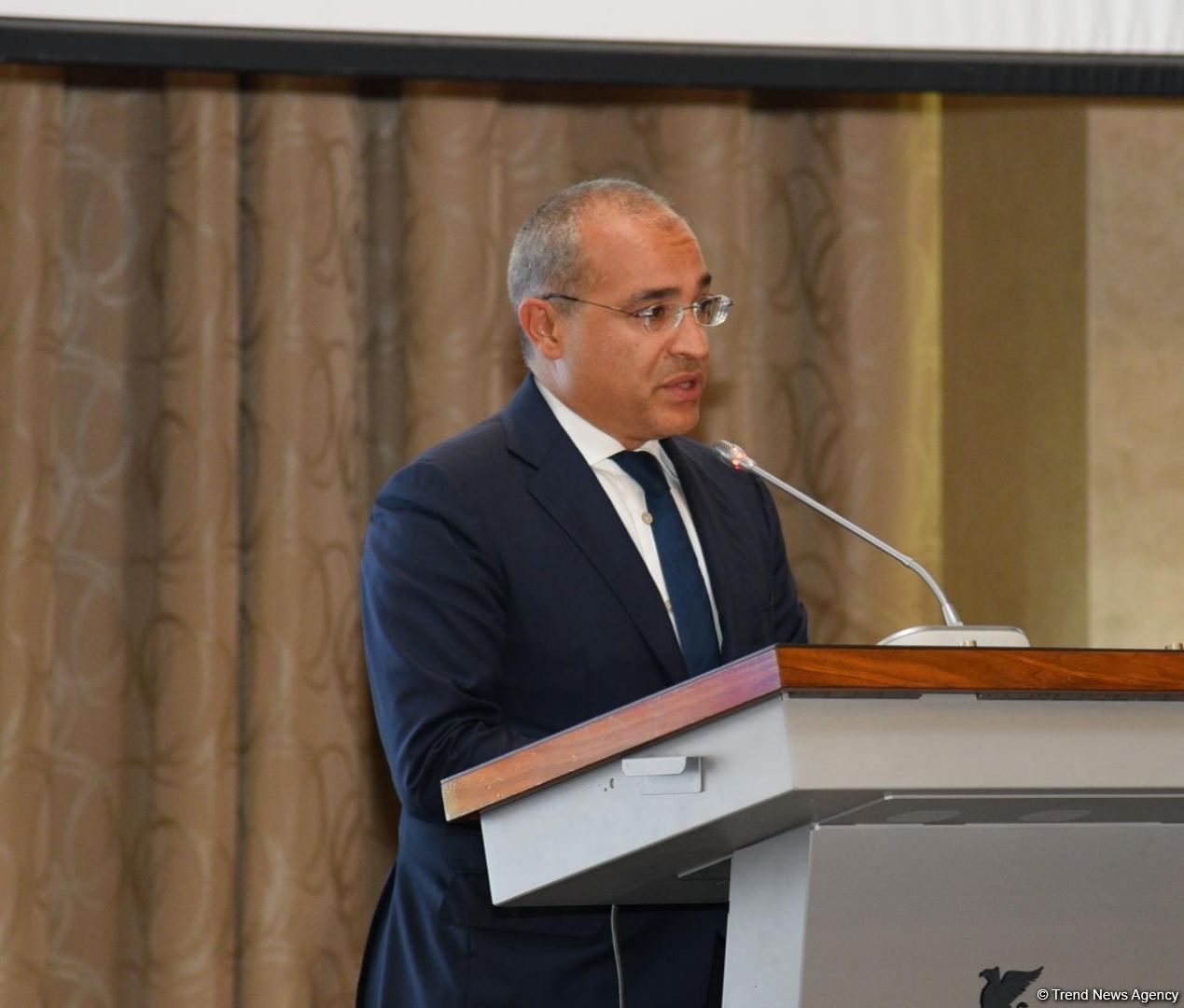 Minister: Azerbaijan interested in joint green projects with WB [PHOTO]