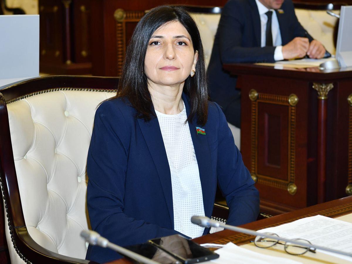 Azerbaijani MP Sevil Mikayilova gives interview to TRT World TV channel in connection with provocations of Armenia [VIDEO]