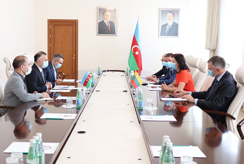 Azerbaijan, Lithuania discuss cooperation in healthcare, medical sciences sector