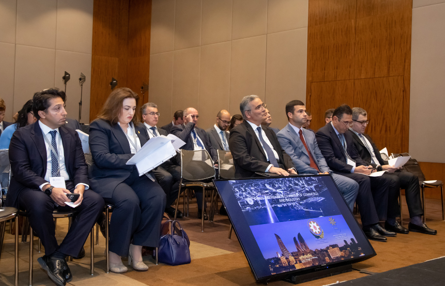 Baku, Bern set new stage in connecting businesses [PHOTO]