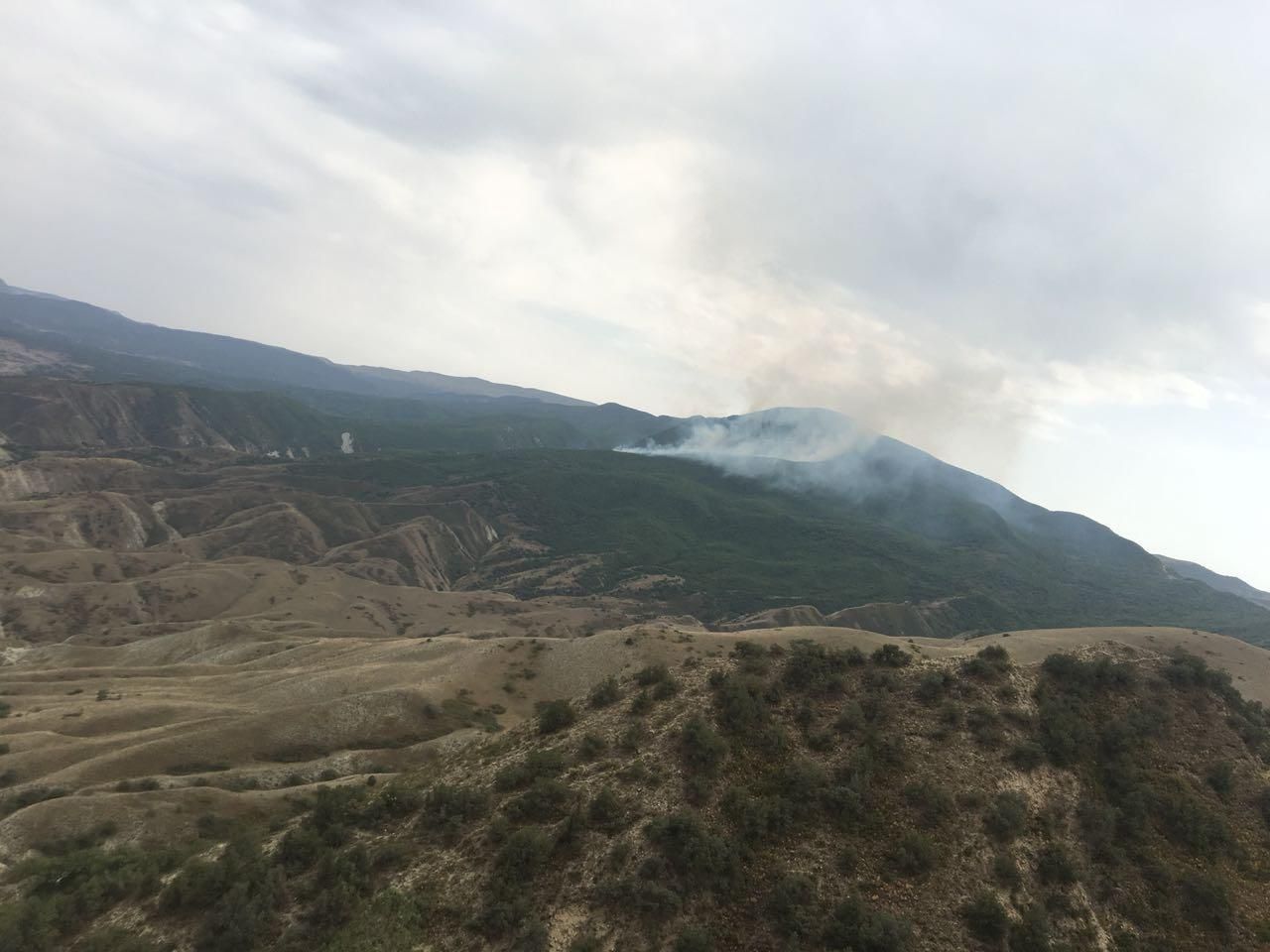 Fire breaks out in Azerbaijan's Altyaghach national park