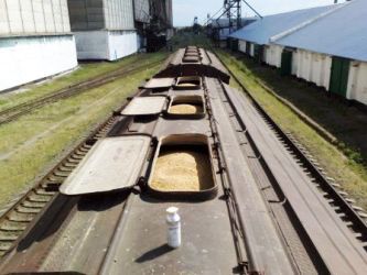 Kazakhstan eyes exporting grain to Pakistan, Iran