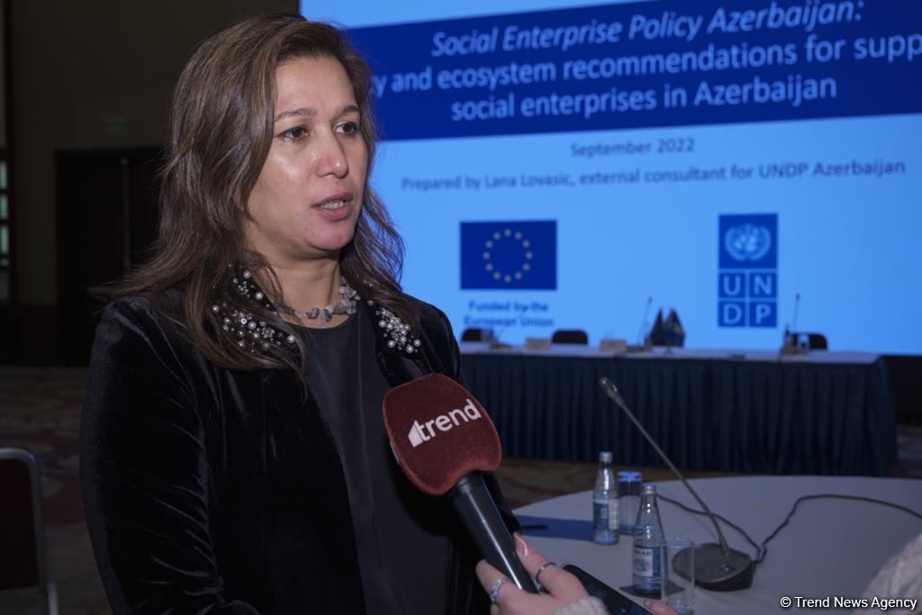 UNDP actively working with Azerbaijani entrepreneurs - Charu Bist