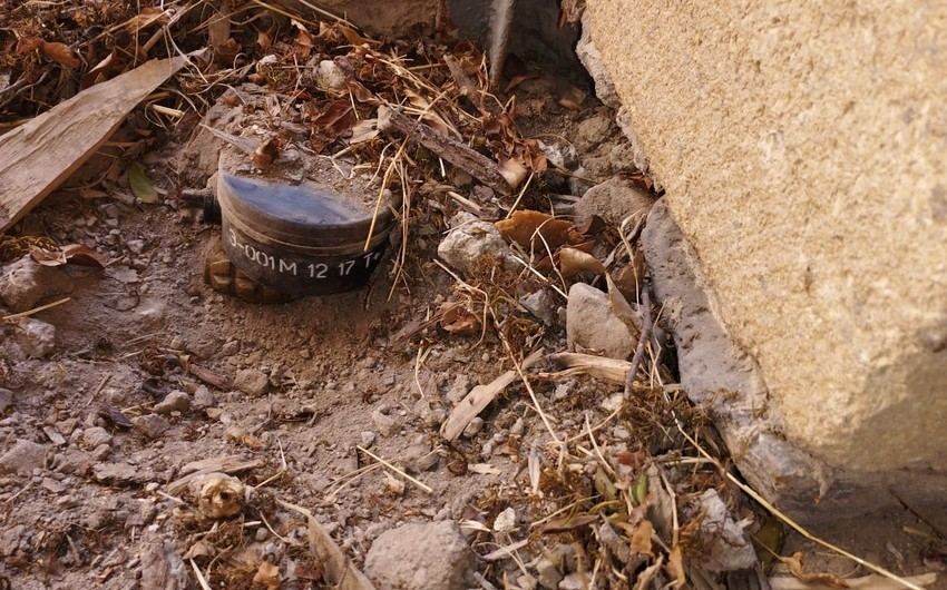 Mine Action Agency defuses Armenia-set booby traps in liberated Lachin [PHOTO] - Gallery Image