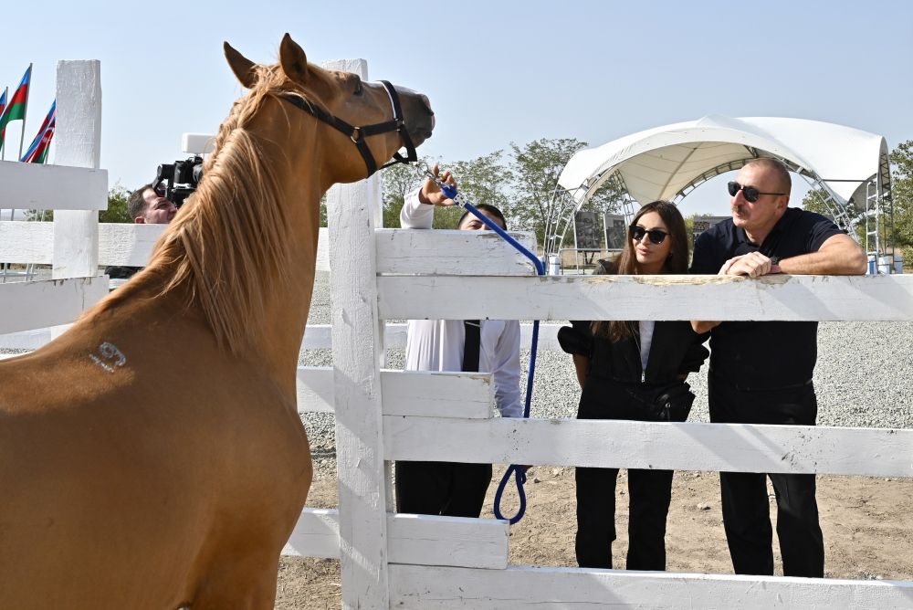 Foundation stone for Horse Breeding Center laid in Aghdam,
President Ilham Aliyev and First Lady Mehriban Aliyeva attend the ceremony [PHOTO/VIDEO] - Gallery Image