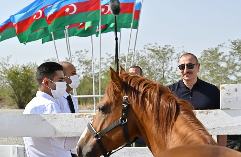 Foundation stone for Horse Breeding Center laid in Aghdam,
President Ilham Aliyev and First Lady Mehriban Aliyeva attend the ceremony [PHOTO/VIDEO] - Gallery Image