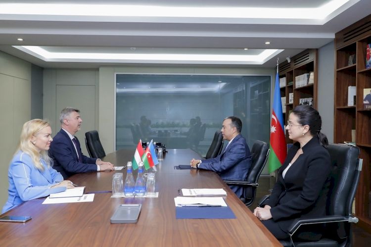 Minister: Azerbaijan, Hungary trade turnover up by 9.2 pct