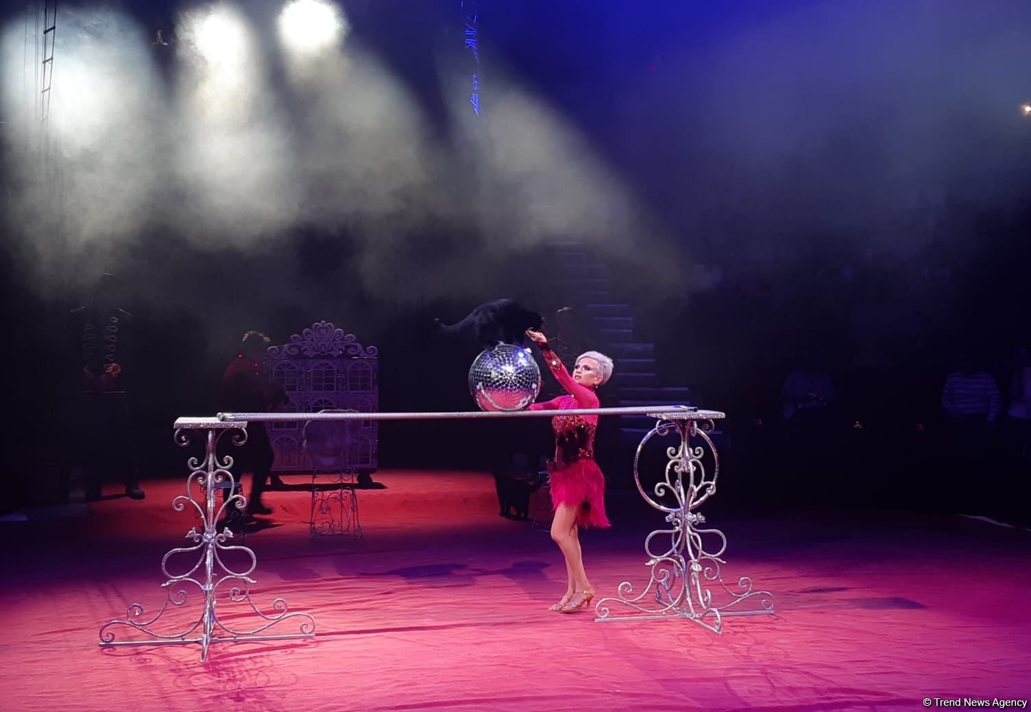 Baku State Circus holds colorful shows for children of martyrs & veterans [PHOTO] - Gallery Image