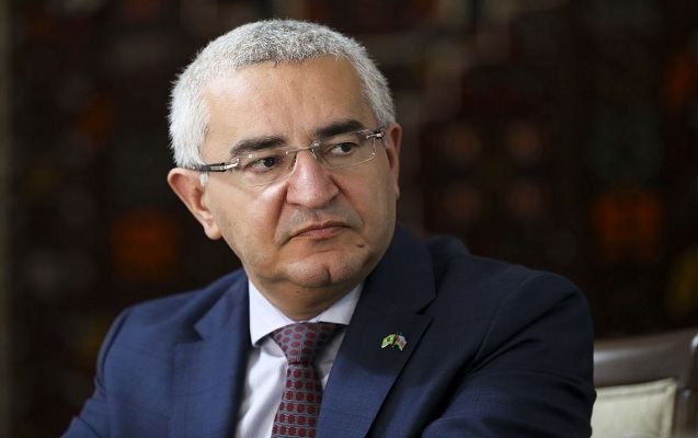 Azerbaijan appoints new ambassador to Egypt