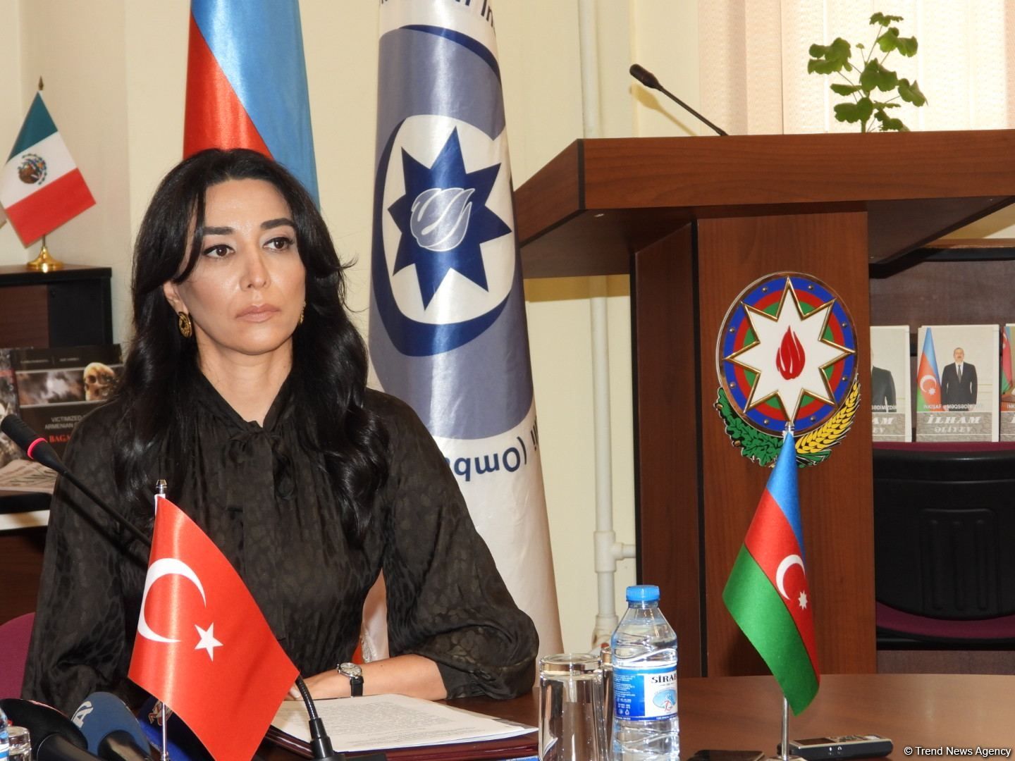 Ombudswoman urges int'l organizations to denounce destruction of Azerbaijani tombstones by Armenians [PHOTO]