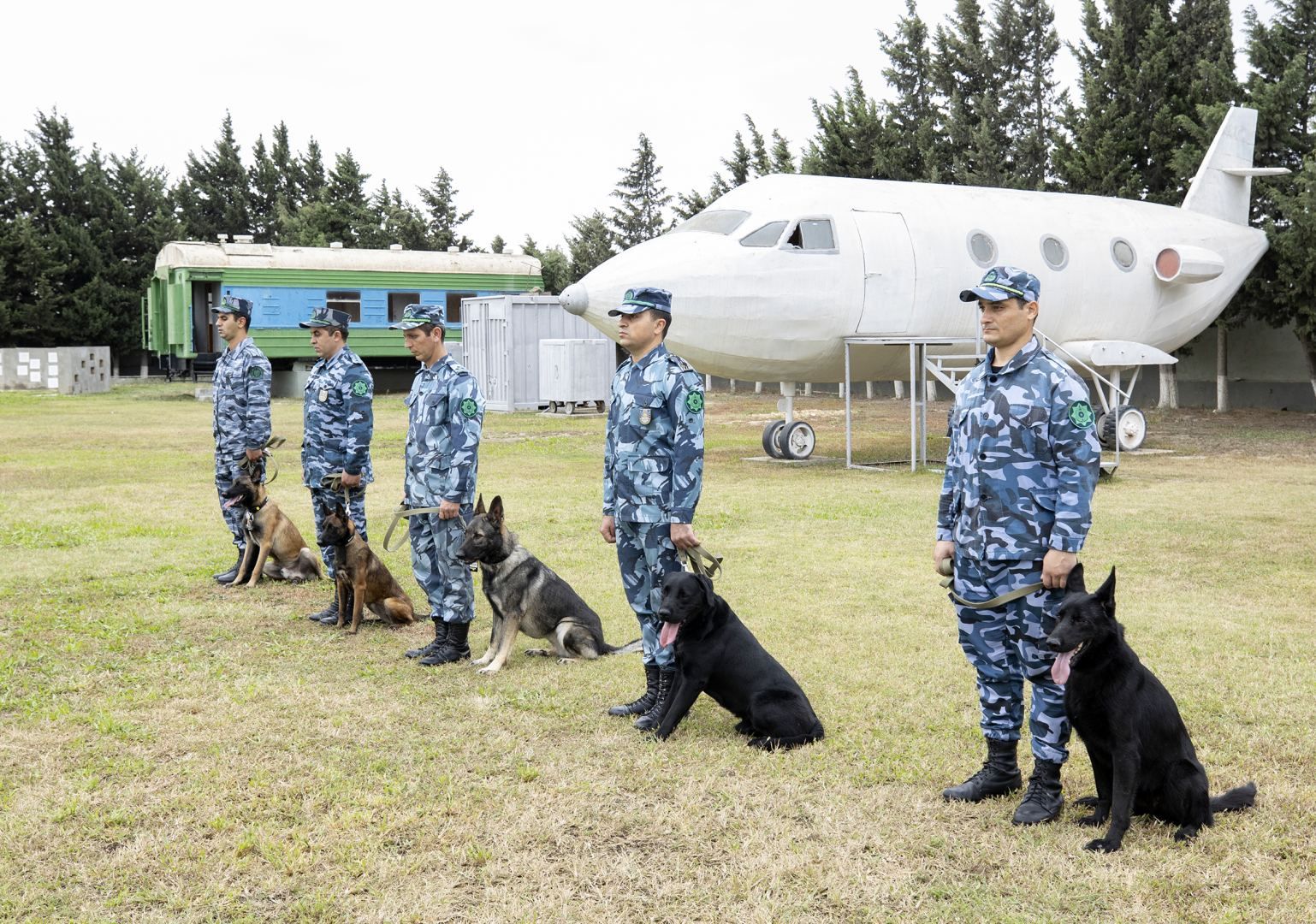 State Customs Committee provides ANAMA with mine detection dogs [PHOTO]