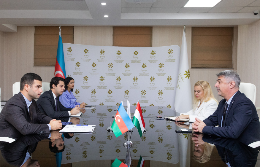 Azerbaijan, Hungary discuss cooperation in SMBs sector