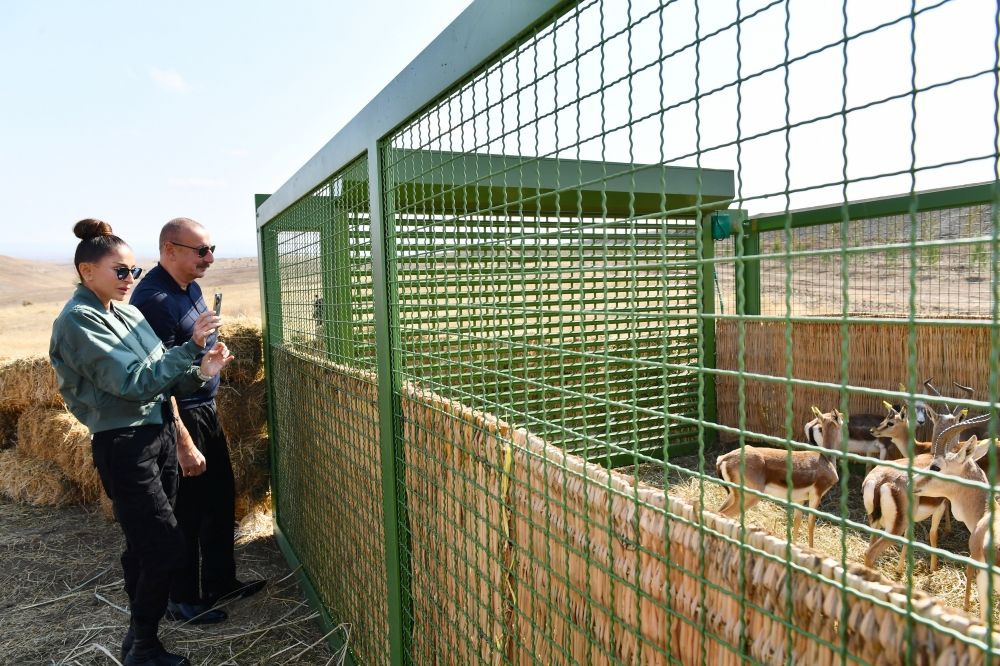 President Ilham Aliyev, First Lady Mehriban Aliyeva release 18 gazelles to territory of Jabrayil while viewing project of forest training center, smart seedlings and friendship forest complex to be established in the district [PHOTO/VIDEO]