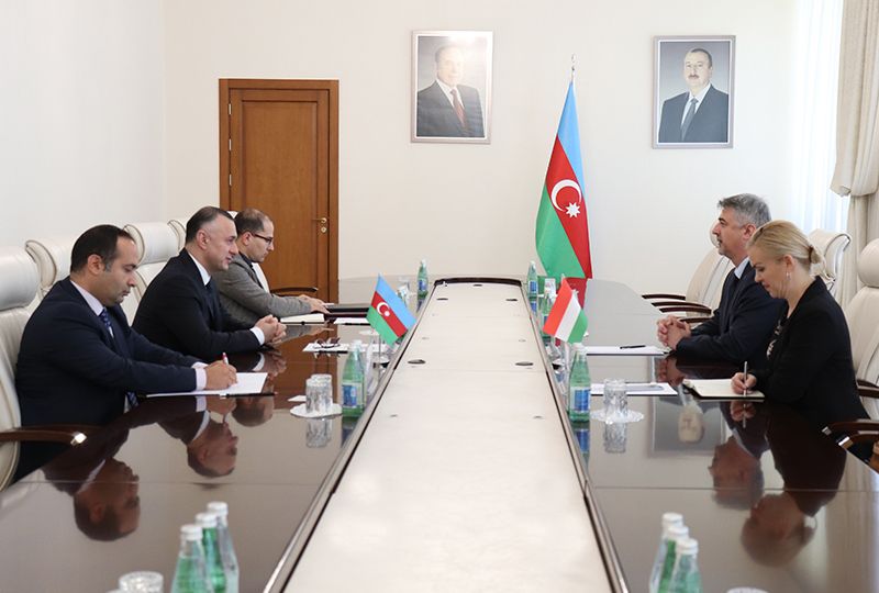Azerbaijan, Hungary eye prospects in healthcare dev't