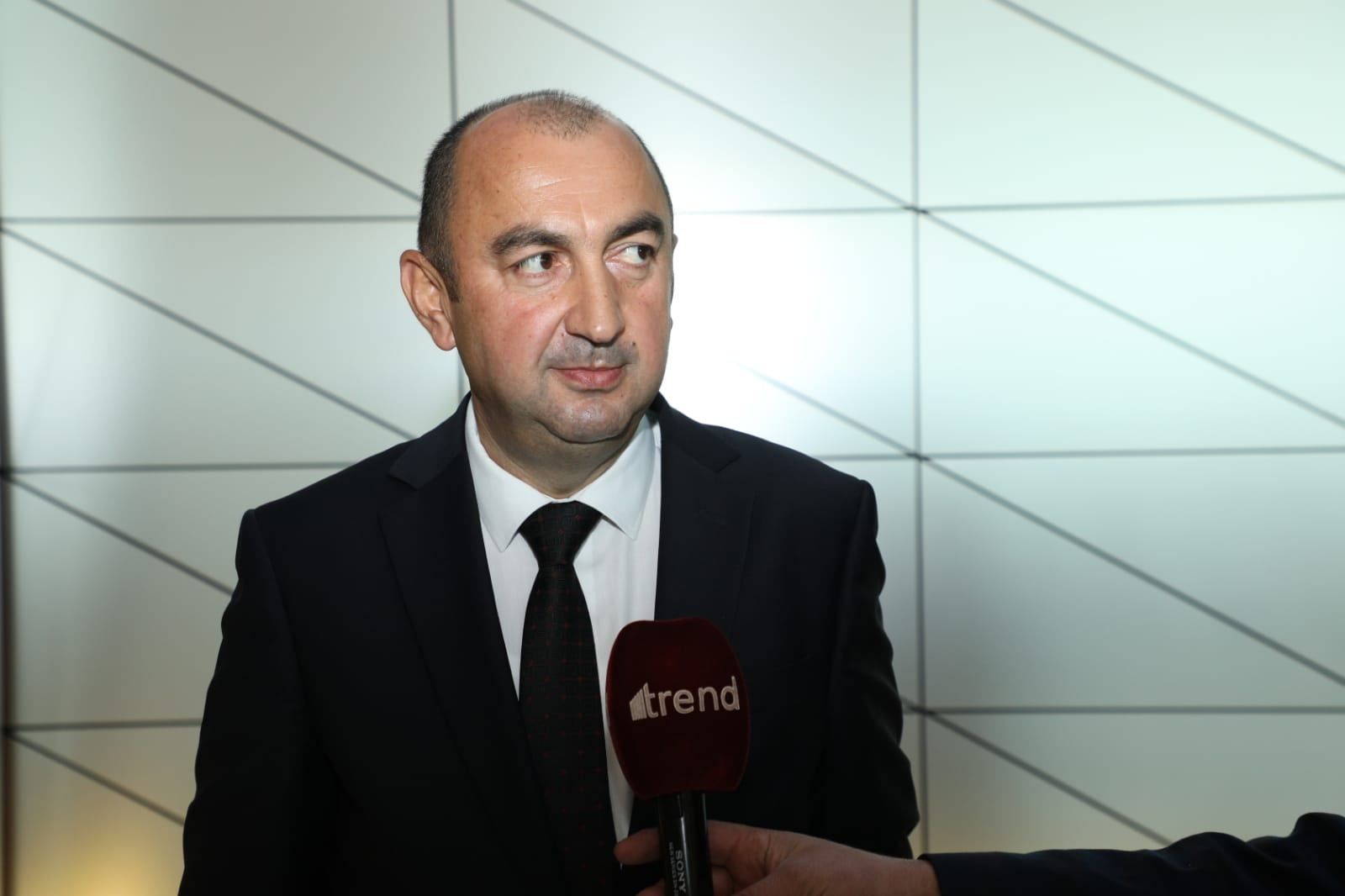 "Friendship Forest" in Azerbaijan's Jabrayil to cover area of 20 hectares - deputy minister