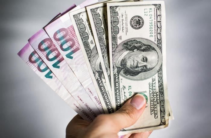 Weekly review of Azerbaijan's foreign exchange market