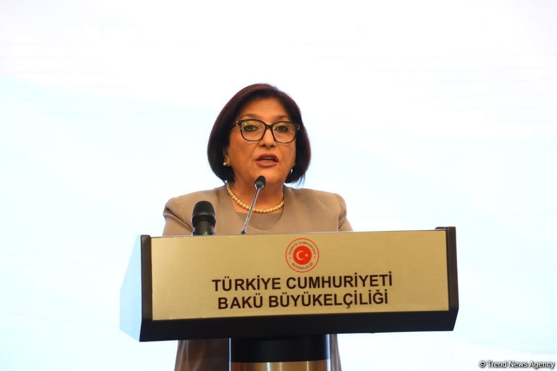Türkiye's decisive position showed that Azerbaijan is not alone in fight for just cause - Speaker of Azerbaijani Parliamen