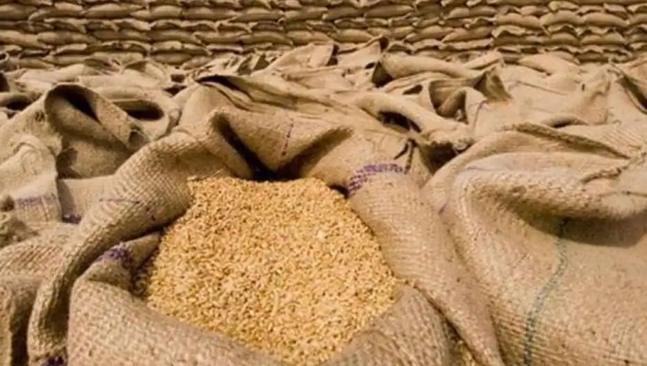 UN, Türkiye to inspect 40 vessels under grain deal on October 31