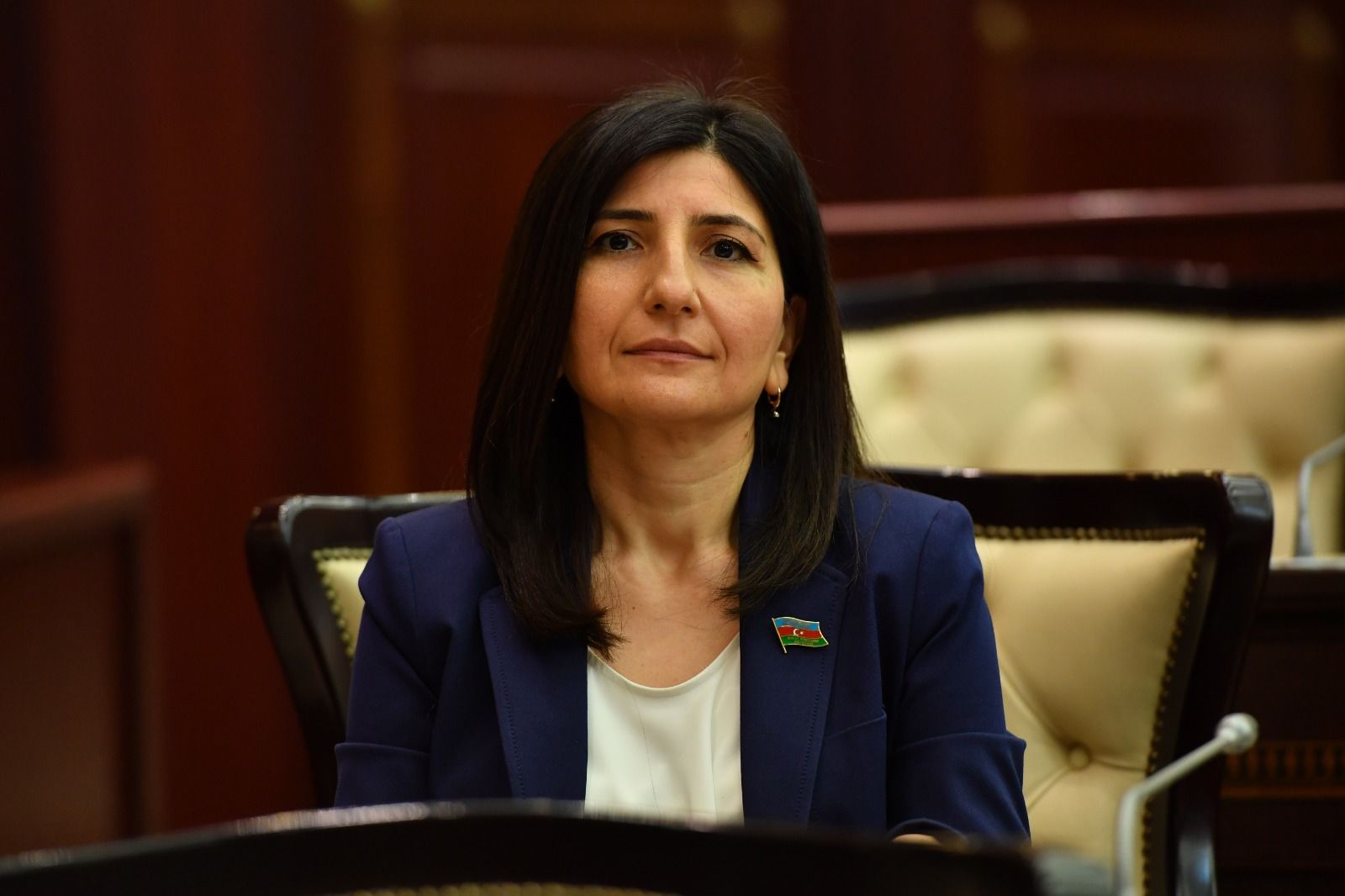 Parliamentarian urges Armenia to face reality & sign peace deal with Azerbaijan