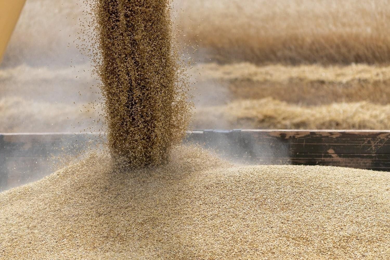 Azerbaijan to develop program on reducing dependence from grain imports