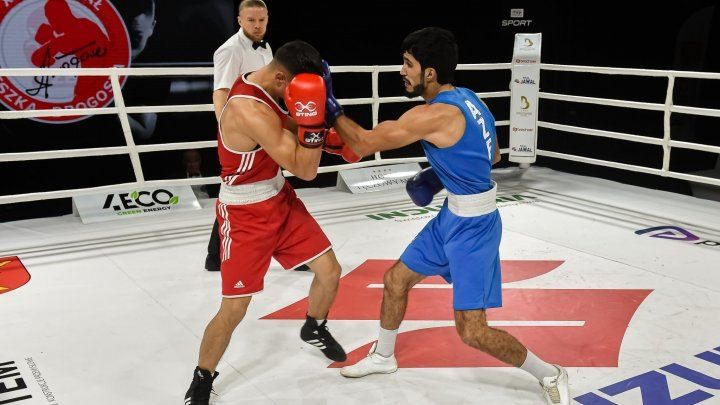 Seven Azerbaijani boxers to fight for championship in international tournament