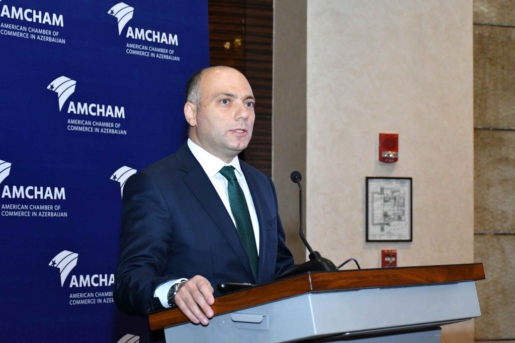 Culture minister meets with AmCham Azerbaijan management [PHOTO] - Gallery Image