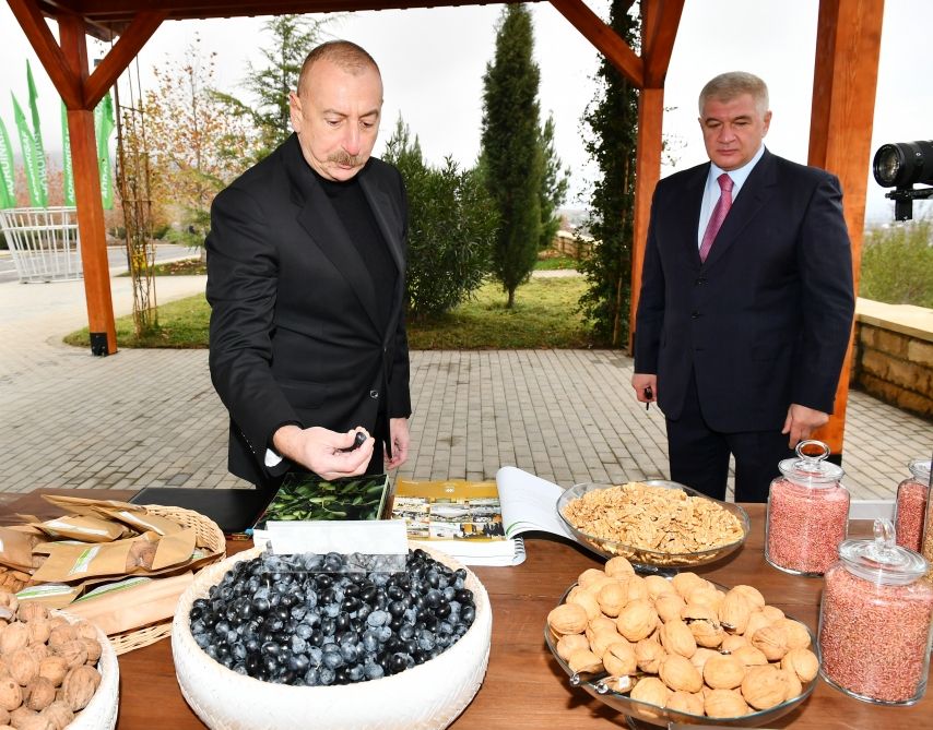 President Ilham Aliyev views conditions created at Shaki-Oghuz Agropark [PHOTO]