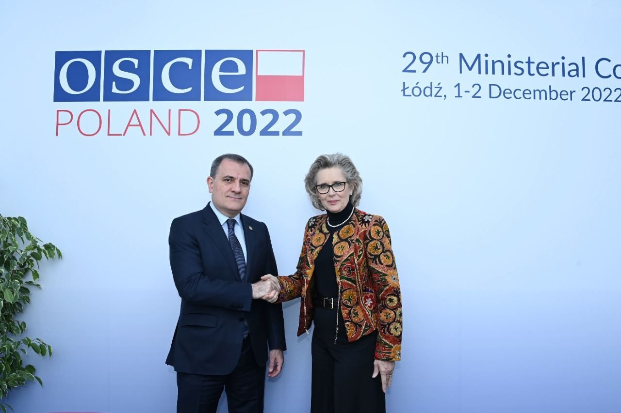 Azerbaijan's FM meets with OSCE PA President [PHOTO]