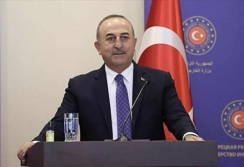 Cavusoglu: Turkiye & Azerbaijan cooperate to meet Romanian, Moldovan, Bulgarian gas demands