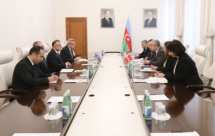 Azerbaijan, Denmark discuss co-op in healthcare & pharmaceutical sectors