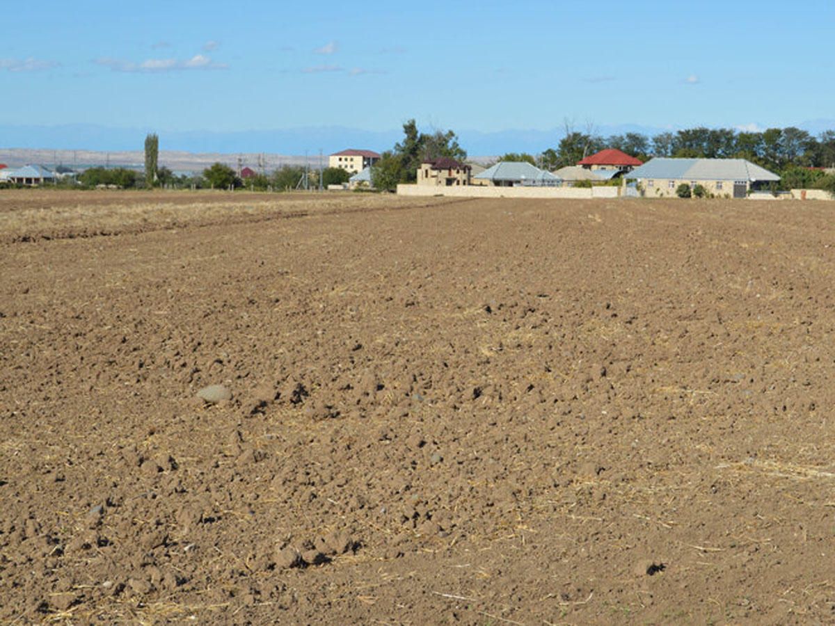 Systemic land registration in Georgia to be completed in 2024