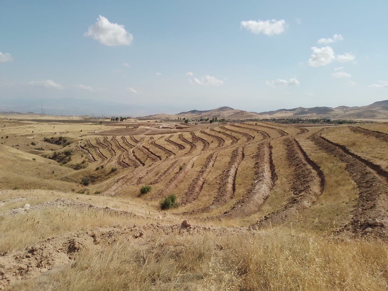 Tree planting events held in "Friendship Forest" in Azerbaijan's Karabakh [PHOTO]